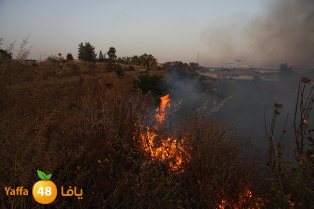 fireina7rashyaffa505 (3).JPG